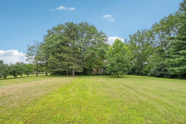 6565 S Section Line Rd, Delaware, OH 43015 - photo 38