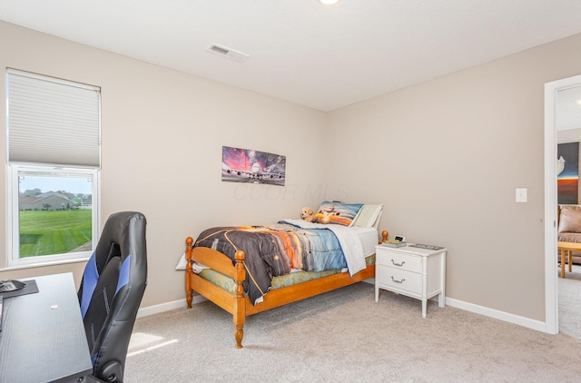 2482 Brook Run Dr, Lancaster, OH 43130 - photo 29