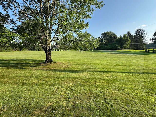 5809 Clover Ln, Westerville, OH 43081 - photo 18