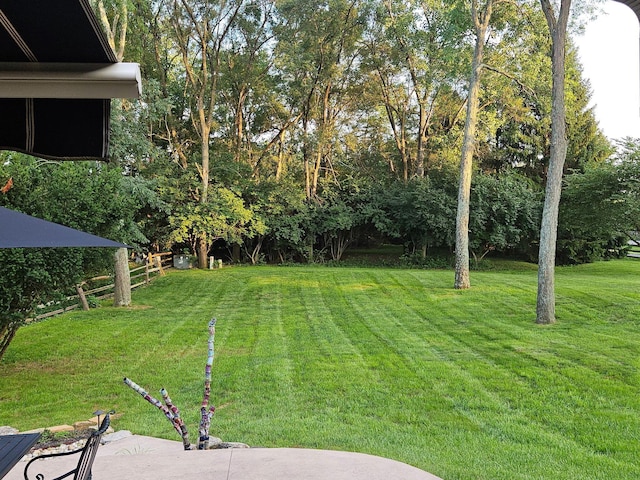 5077 Donegal Cliffs Dr, Dublin, OH 43017 - photo 3