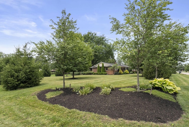 6767 Skyline Dr E, Columbus, OH 43235 - photo 42
