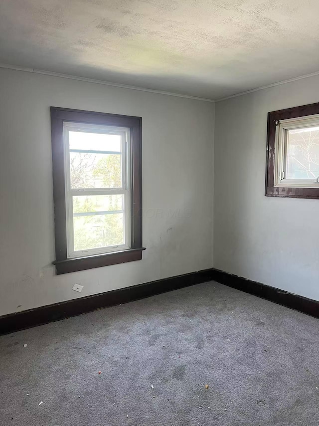 1144 E Whittier St, Columbus, OH 43206 - photo 6
