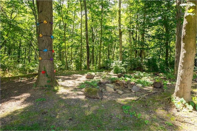 747 London Groveport Rd, Lockbourne, OH 43137 - photo 9
