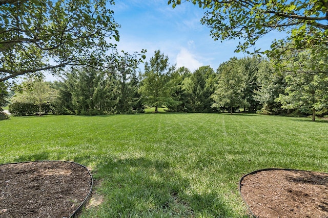 8740 Shaffer Dr, Powell, OH 43065 - photo 33