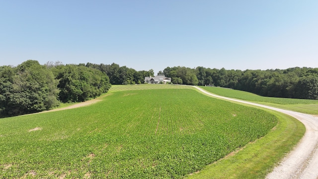 76 Smith Rd, Bellville, OH 44813 - photo 73
