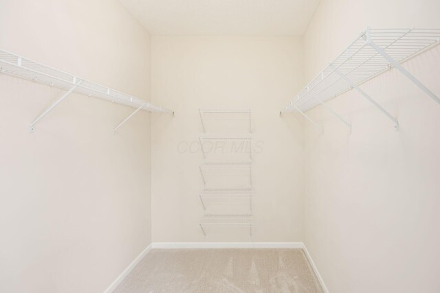6493 Bromfield Dr, Westerville, OH 43082 - photo 20