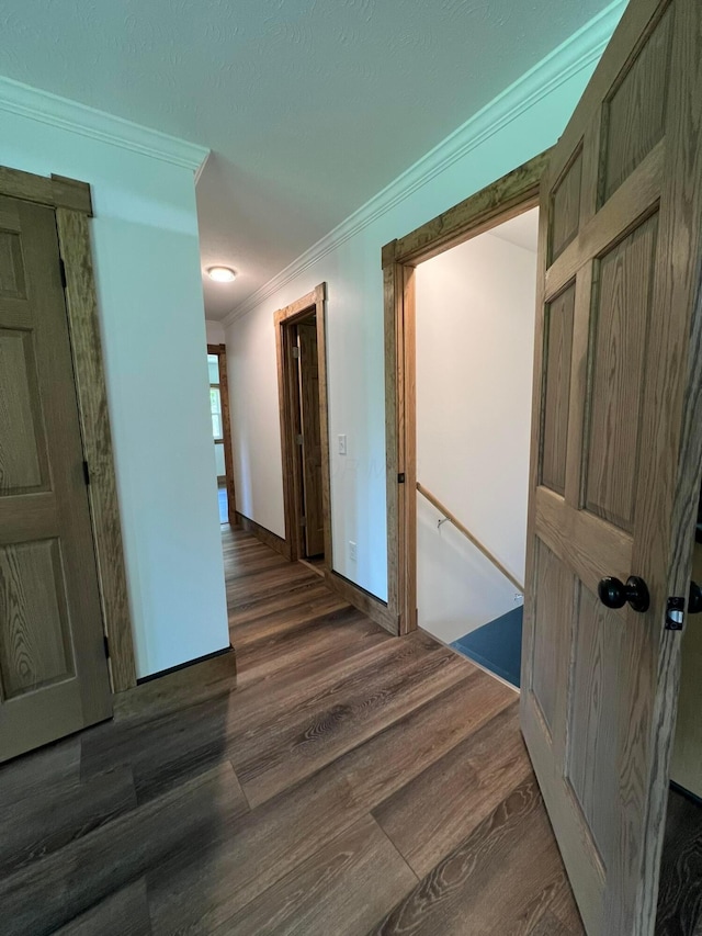 43219 Smith Goeglein Dr, Pomeroy, OH 45769 - photo 29