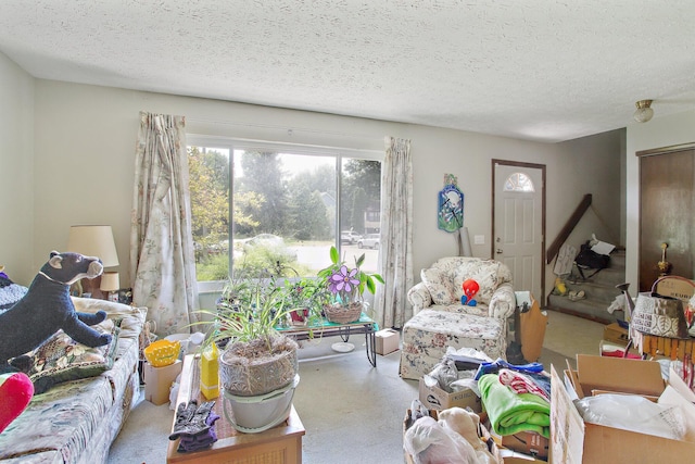 6430 Mountaineer Trail Ct, Reynoldsburg, OH 43068 - photo 5