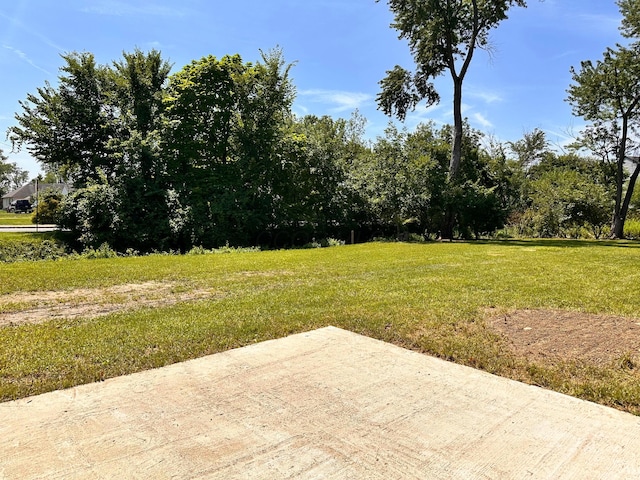 1991 Woodland Ave, Columbus, OH 43219 - photo 4