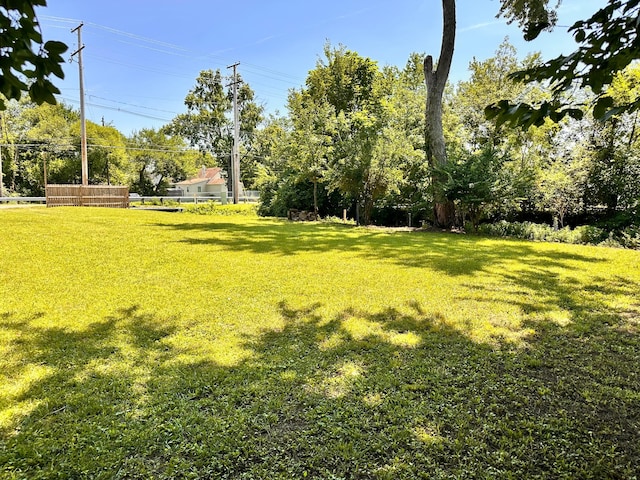 1991 Woodland Ave, Columbus, OH 43219 - photo 9