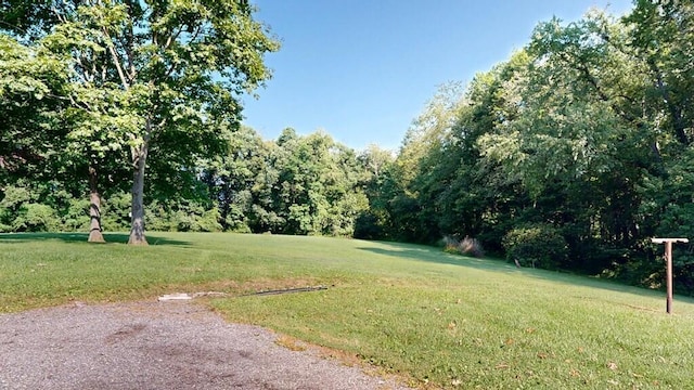 3113 State Route 97, Butler, OH 44822 - photo 30