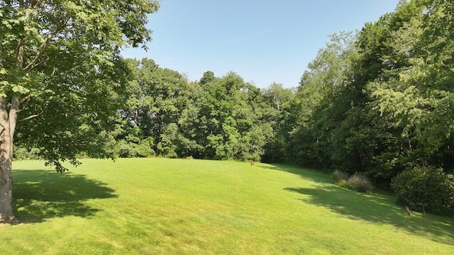 3113 State Route 97, Butler, OH 44822 - photo 31