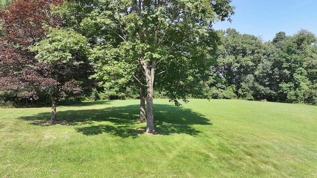 3113 State Route 97, Butler, OH 44822 - photo 32