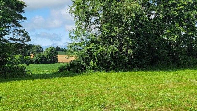 10591 Zion Rd NW, Thornville, OH 43076 - photo 11