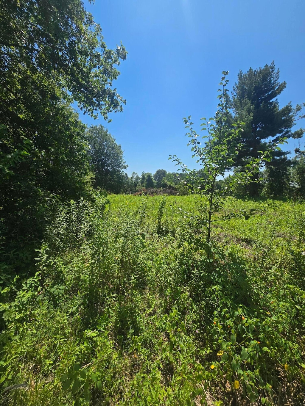 0 Marquette Dr NE Lot 16, Lancaster, OH 43130 - photo 2