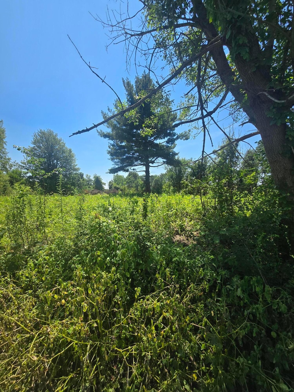 0 Marquette Dr NE Lot 16, Lancaster, OH 43130 - photo 3