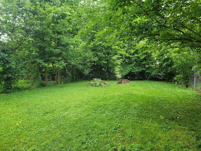 2205 Lexington Ave, Columbus, OH 43211 - photo 4