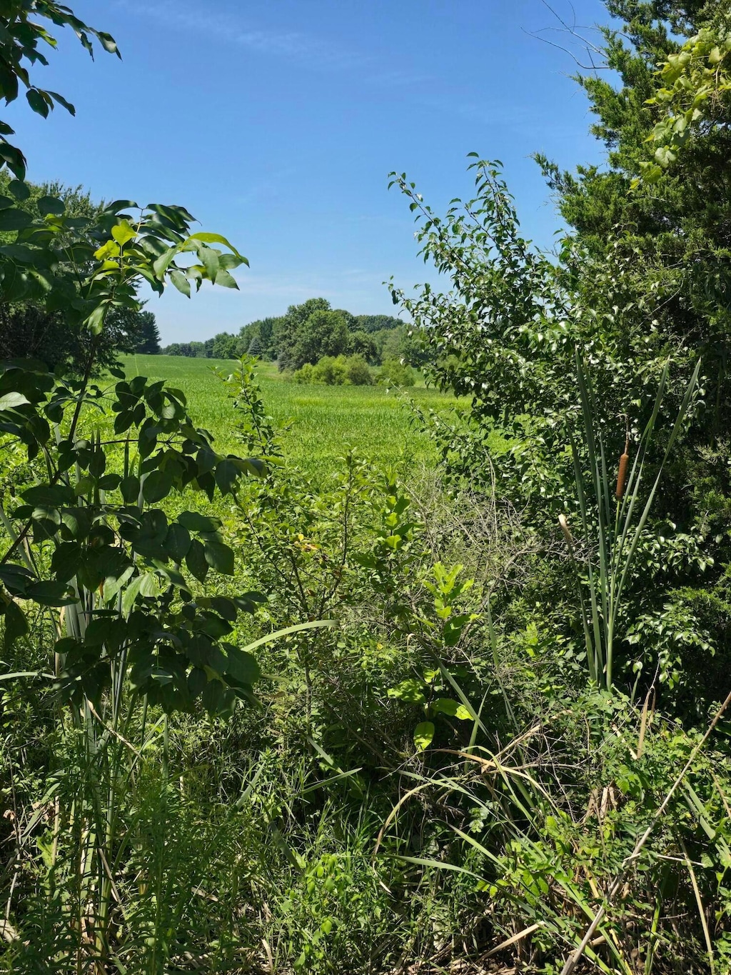 0 Tschopp Rd NE Lot 17, Lancaster, OH 43130 - photo 3
