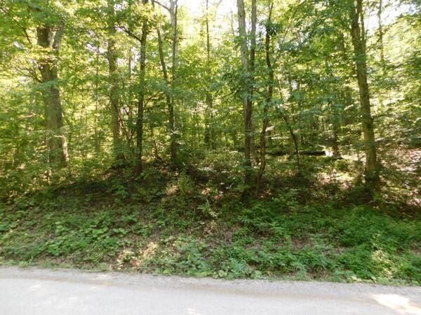 0 Vanatta Rd, Logan, OH 43138 - photo 4