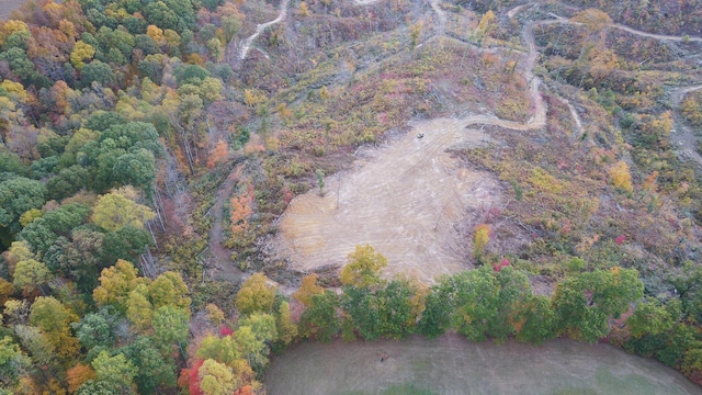 34572 Huston Road (Hunters Haven On Huston Rd), Radcliff, OH 45695 - photo 7