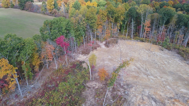 34572 Huston Road (Hunters Haven On Huston Rd), Radcliff, OH 45695 - photo 9