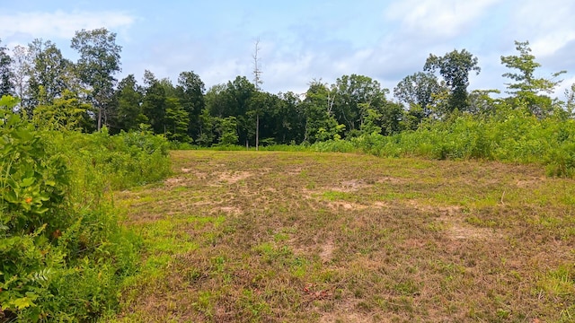 34572 Huston Road (Hunters Haven On Huston Rd), Radcliff, OH 45695 - photo 11