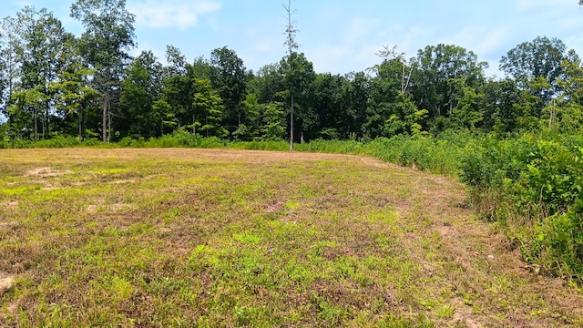 34572 Huston Road (Hunters Haven On Huston Rd), Radcliff, OH 45695 - photo 12