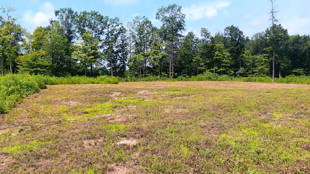 34572 Huston Road (Hunters Haven On Huston Rd), Radcliff, OH 45695 - photo 13