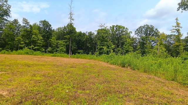34572 Huston Road (Hunters Haven On Huston Rd), Radcliff, OH 45695 - photo 14