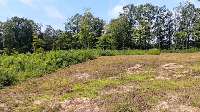 34572 Huston Road (Hunters Haven On Huston Rd), Radcliff, OH 45695 - photo 15