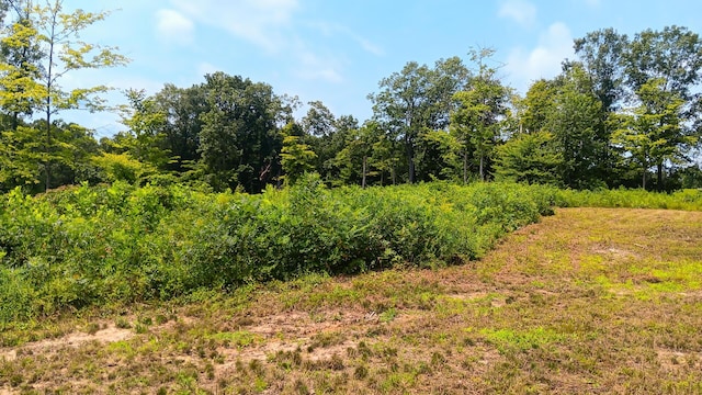 34572 Huston Road (Hunters Haven On Huston Rd), Radcliff, OH 45695 - photo 16