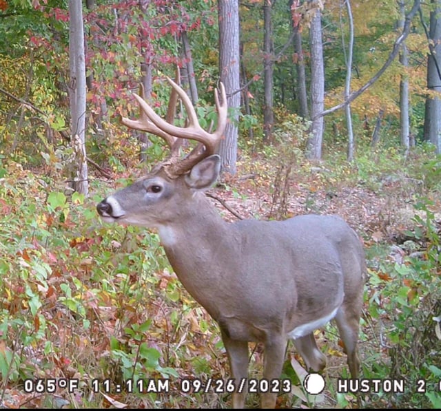 34572 Huston Road (Hunters Haven On Huston Rd), Radcliff, OH 45695 - photo 19