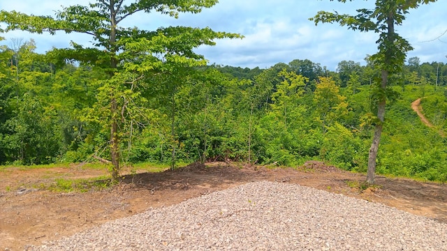 34572 Huston Road (Hunters Haven On Huston Rd), Radcliff, OH 45695 - photo 23