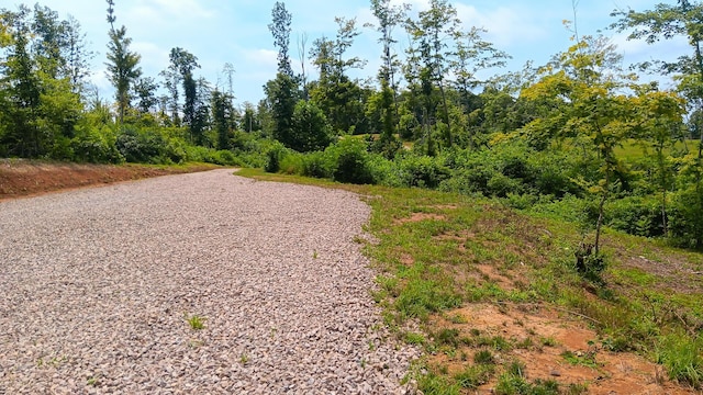 34572 Huston Road (Hunters Haven On Huston Rd), Radcliff, OH 45695 - photo 24