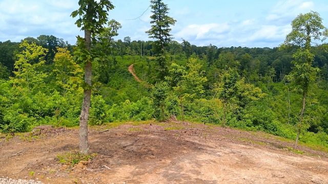 34572 Huston Road (Hunters Haven On Huston Rd), Radcliff, OH 45695 - photo 29