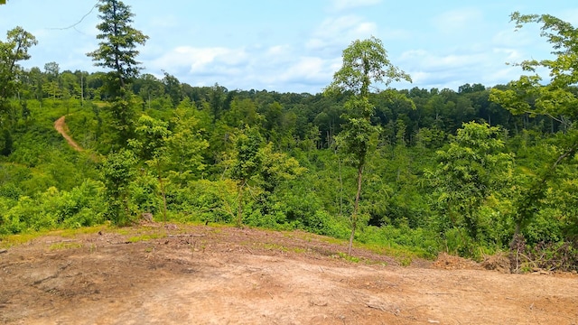 34572 Huston Road (Hunters Haven On Huston Rd), Radcliff, OH 45695 - photo 30