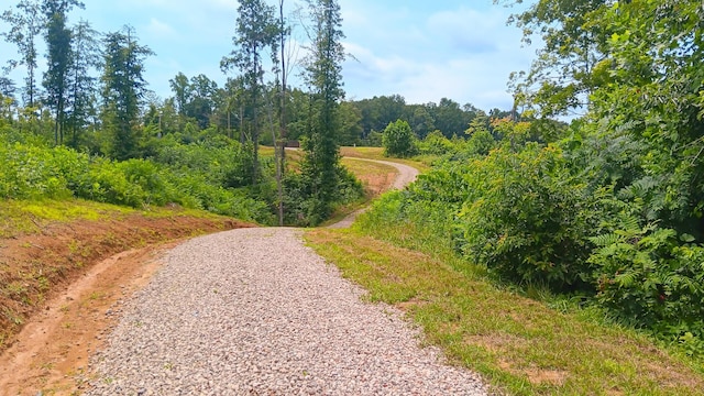 34572 Huston Road (Hunters Haven On Huston Rd), Radcliff, OH 45695 - photo 35