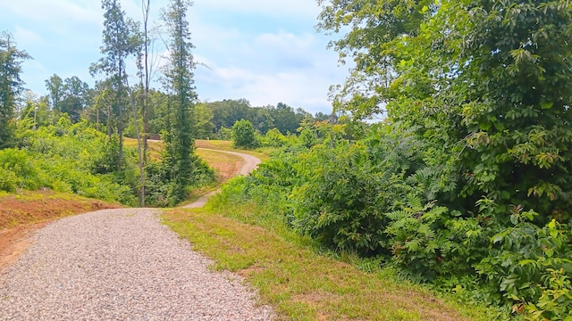 34572 Huston Road (Hunters Haven On Huston Rd), Radcliff, OH 45695 - photo 36