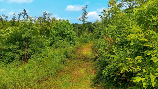 34572 Huston Road (Hunters Haven On Huston Rd), Radcliff, OH 45695 - photo 42