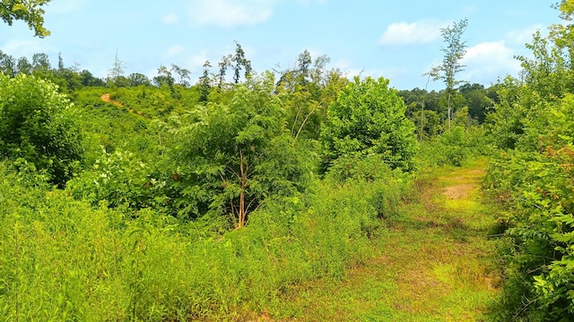 34572 Huston Road (Hunters Haven On Huston Rd), Radcliff, OH 45695 - photo 43