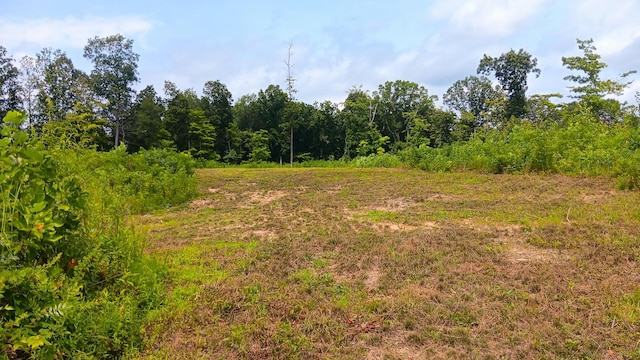 34572 Huston Road (Hunters Haven On Huston Rd), Radcliff, OH 45695 - photo 50