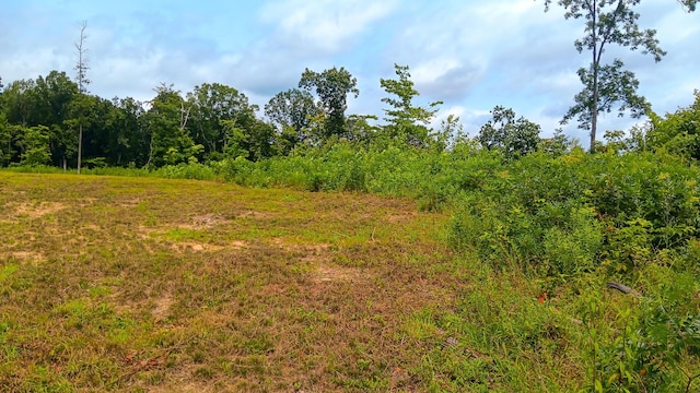 34572 Huston Road (Hunters Haven On Huston Rd), Radcliff, OH 45695 - photo 51