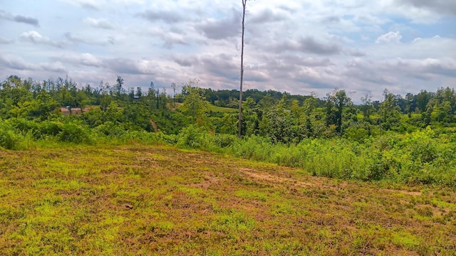 34572 Huston Road (Hunters Haven On Huston Rd), Radcliff, OH 45695 - photo 52