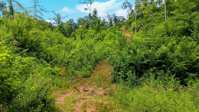 34572 Huston Road (Hunters Haven On Huston Rd), Radcliff, OH 45695 - photo 55