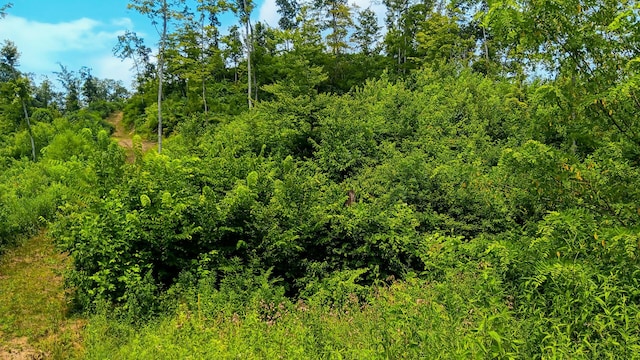 34572 Huston Road (Hunters Haven On Huston Rd), Radcliff, OH 45695 - photo 56