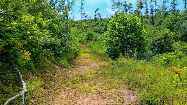 34572 Huston Road (Hunters Haven On Huston Rd), Radcliff, OH 45695 - photo 60