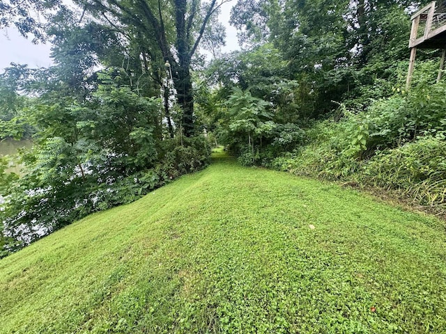 3130 S State Route 266, Stockport, OH 43787 - photo 23