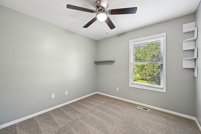 5610 Boucher Dr, Orient, OH 43146 - photo 20