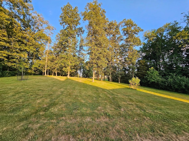 6635 Limes Rd SE, Greenfield, OH 45123 - photo 9