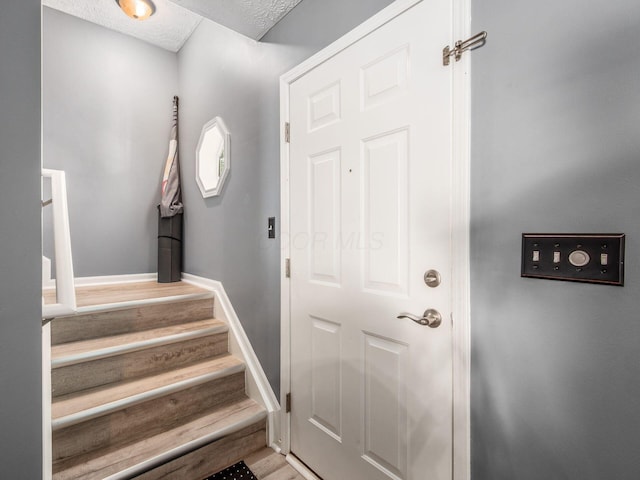 1384 Hepatica St, Blacklick, OH 43004 - photo 4